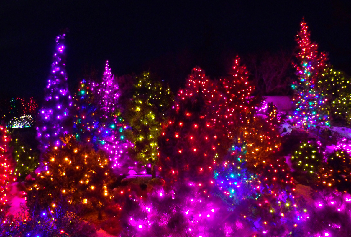 Denver Botanic Gardens (Denver, Colorado) from The Most Amazing